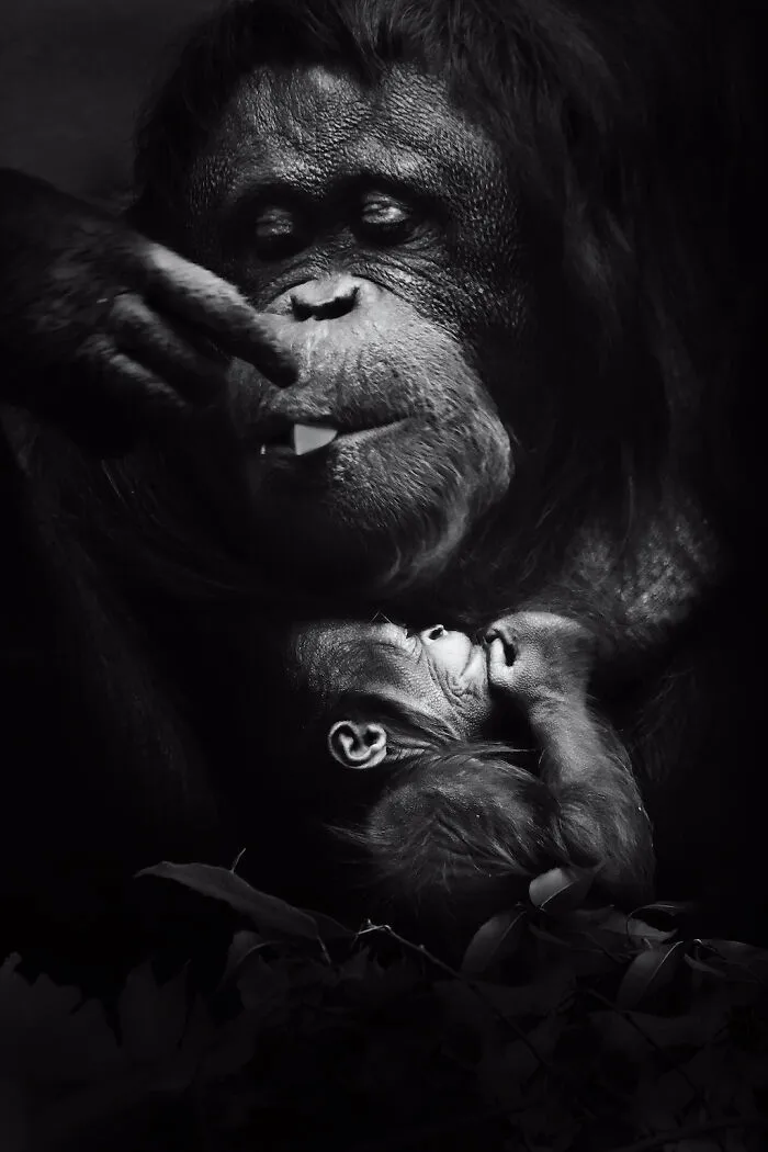 Mother And Baby