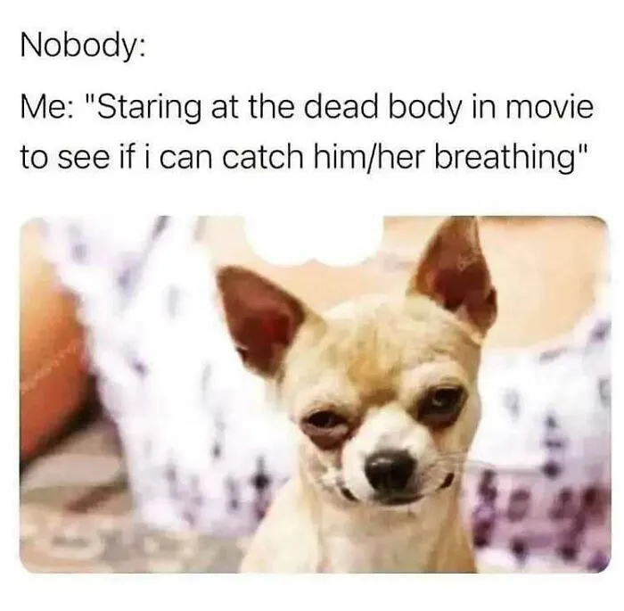 50 Random Memes To Entertain You While You Procrastinate