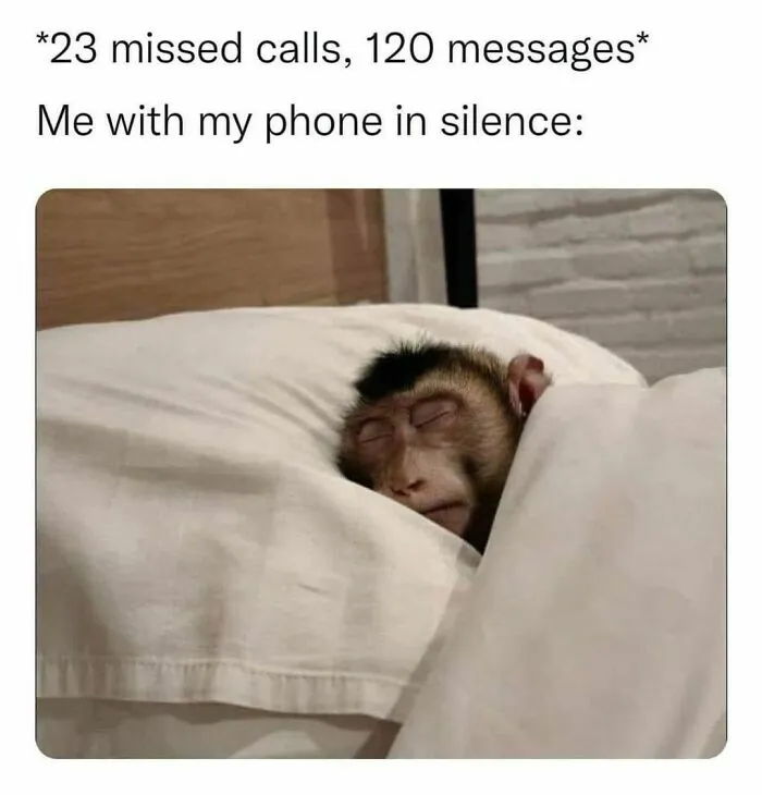 Sleeping monkey tucked in bed with text about missed calls and phone silence, relatable meme for winning introverts.