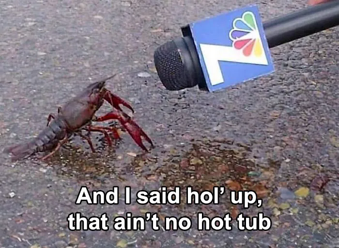 ‘Boys Who Can Cook’: 30 Hilariously Random Food Memes (New Pics)