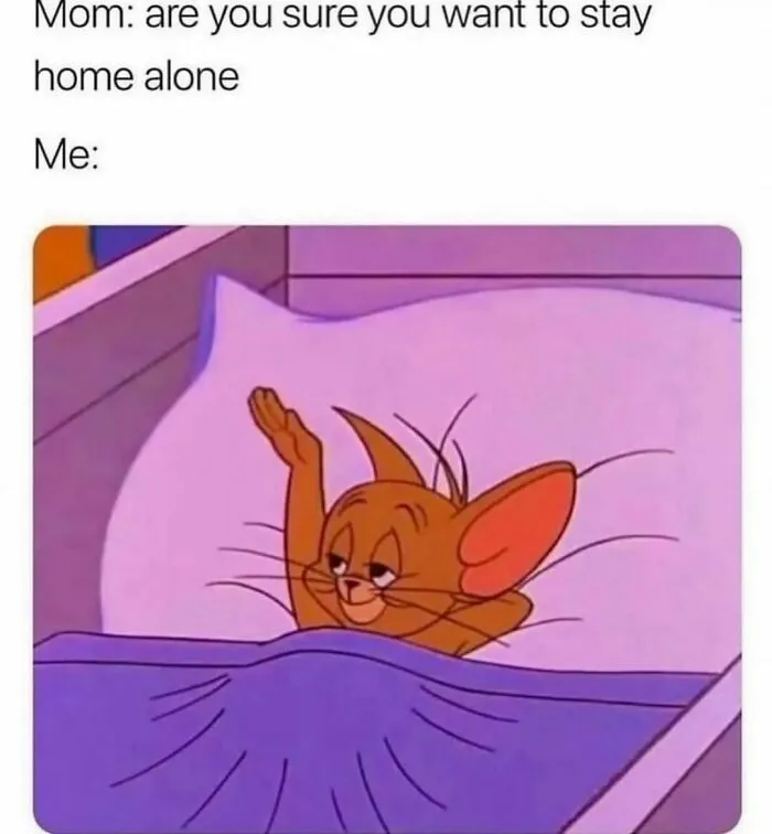 Cartoon mouse relaxing in bed, relatable meme about introverts choosing to stay home alone with a content expression.