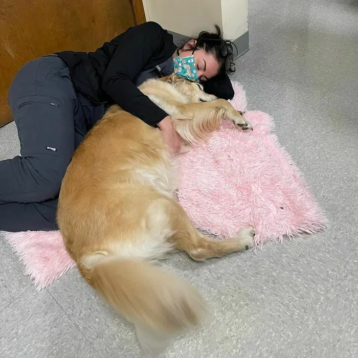 How To Effectively Use Your Break Time To Relax: Snuggle With A Dog