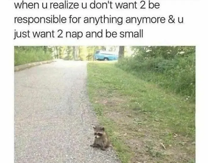50 Relatable Memes About Mental Health That Even Your Therapist Might Find Funny