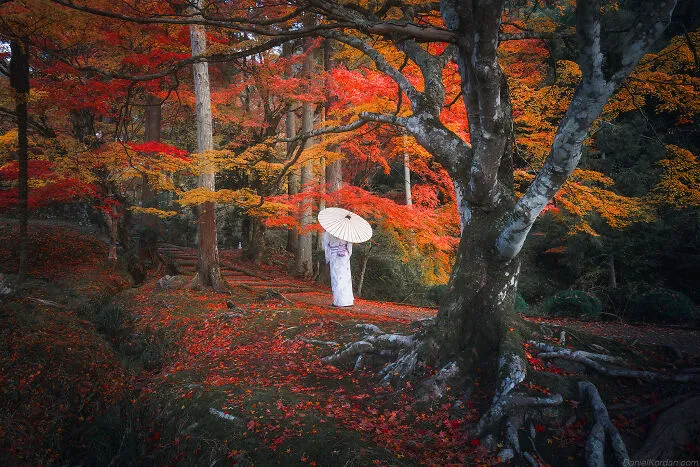 Japan