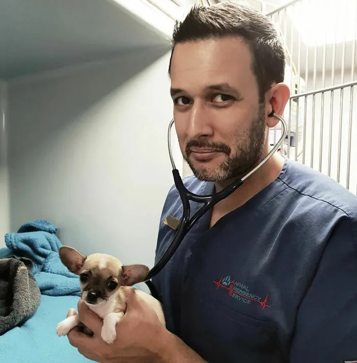 Responsibility Is Something I Take Very Seriously. I Never Underestimate The Huge Amount Of Courage It Takes For An Owner To Hand Over Their Beloved Pet Into Our Care