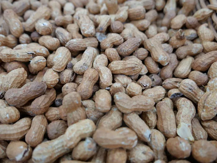 Peanuts