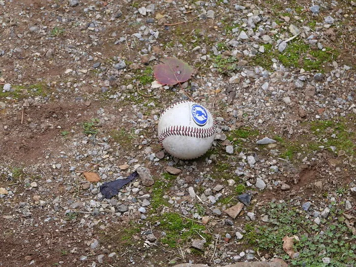 Baseball