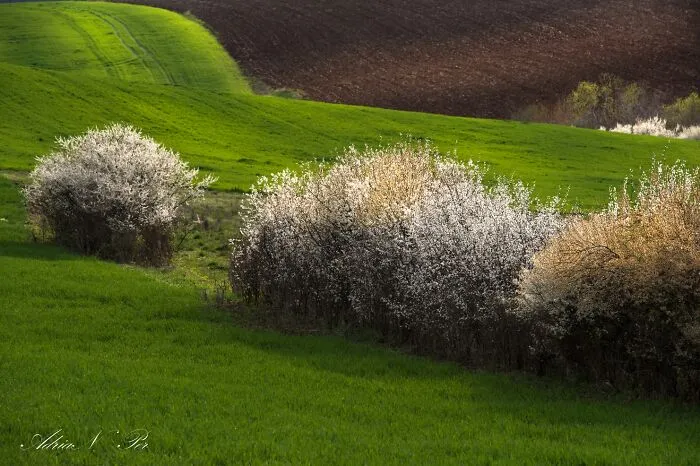 Banat, Romania