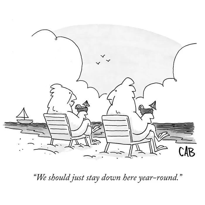 If You Like An Absurd Sense Of Humor, You Might Like These 30 Cartoons By Mat Barton