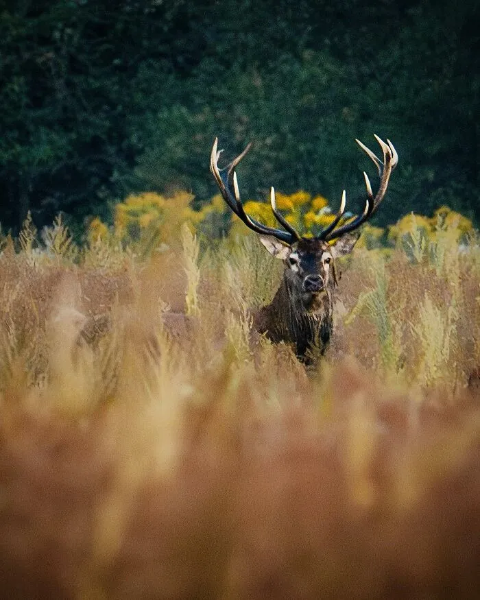 25 Captivating Photographs Of Animals In Their Natural Habitat By Alex Ugalek