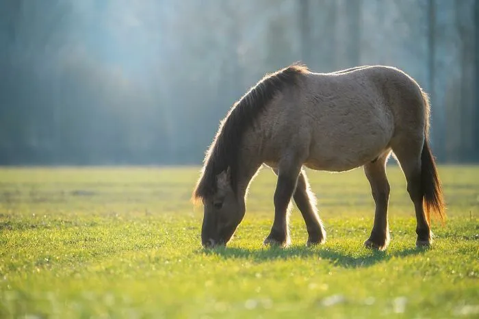 25 Captivating Photographs Of Animals In Their Natural Habitat By Alex Ugalek