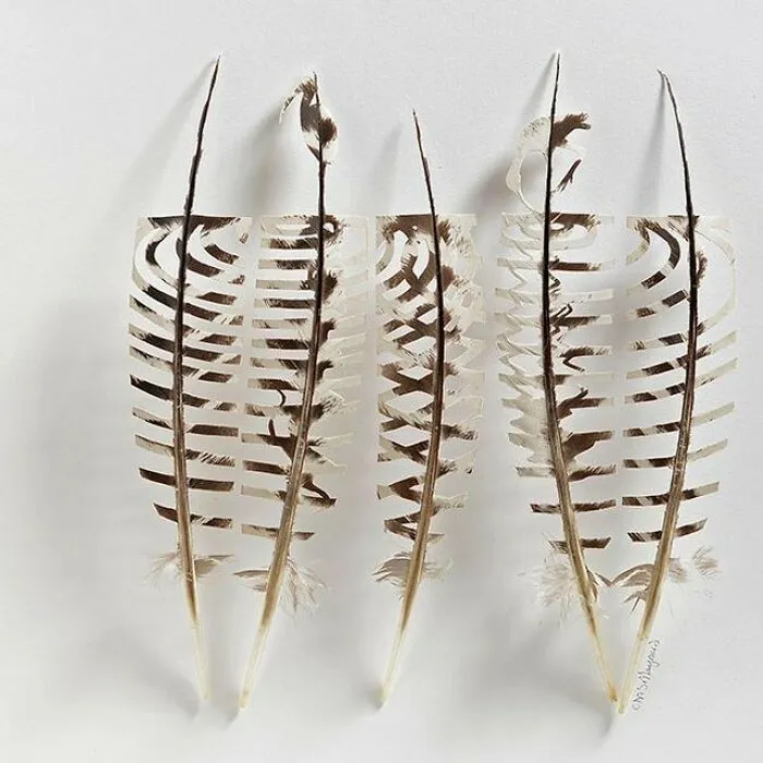 45 Delicate Artworks Made From Hard-Carving Feathers By This Artist (New Pics)