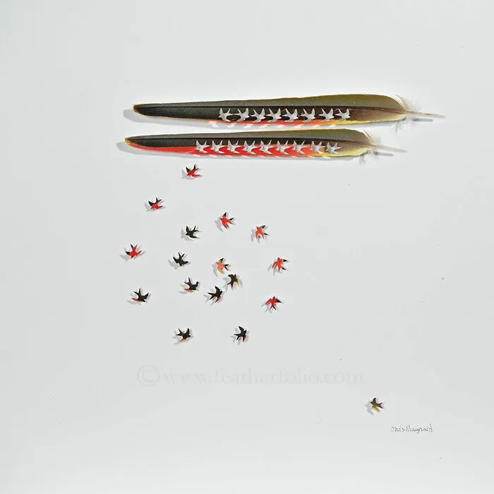 45 Delicate Artworks Made From Hard-Carving Feathers By This Artist (New Pics)