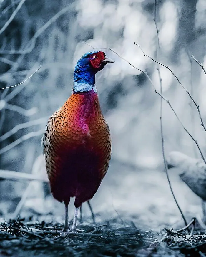 Photographer Captured 30 New Photos That Might Make You Feel Like You're Stepping Into The Wild