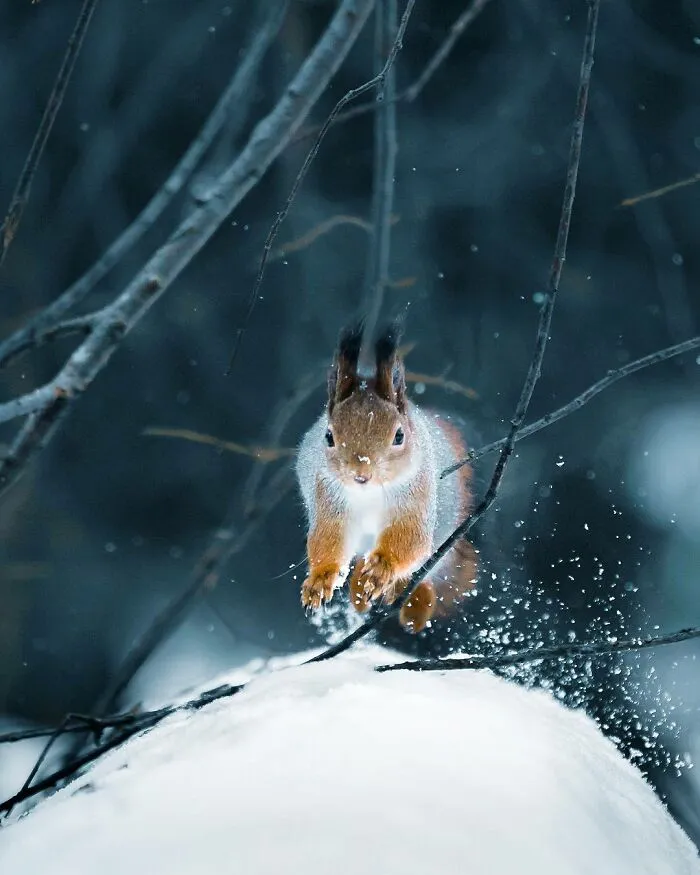 Photographer Captured 30 New Photos That Might Make You Feel Like You're Stepping Into The Wild
