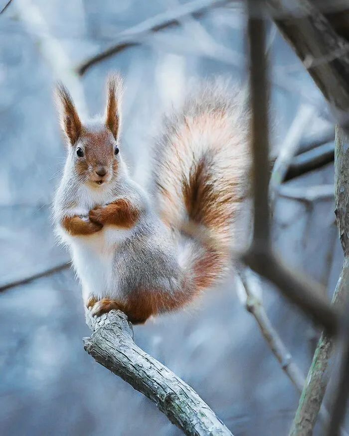 Photographer Captured 30 New Photos That Might Make You Feel Like You're Stepping Into The Wild