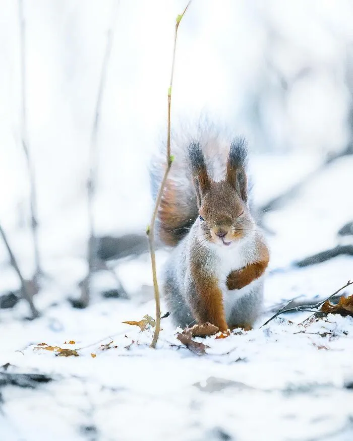 Photographer Captured 30 New Photos That Might Make You Feel Like You're Stepping Into The Wild