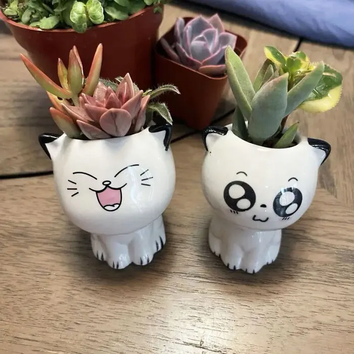 Decor That Purrs - Spruce Up Green Spaces With <span Style="Font:inherit;color:#d74b1f;"> Cat Cartoon Pots</Span>