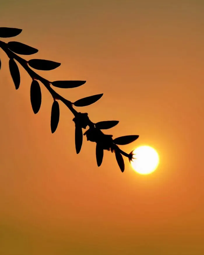This Photographer Captures The Sun As An Integral Part Of His Photo Stories (17 New Pics)