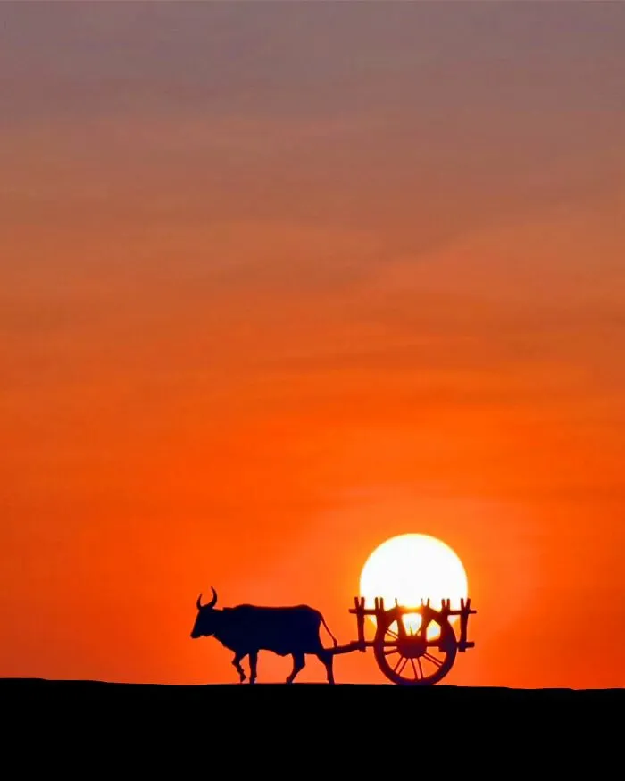 This Photographer Captures The Sun As An Integral Part Of His Photo Stories (17 New Pics)