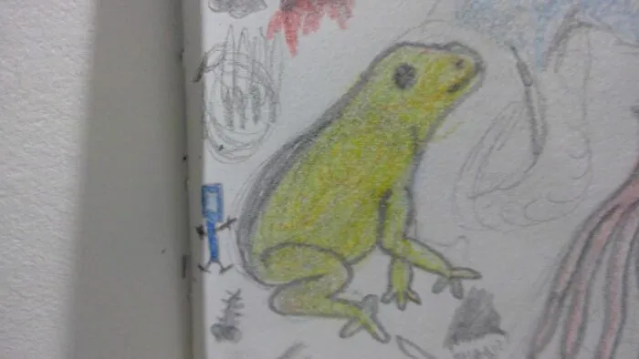 ✨frog✨