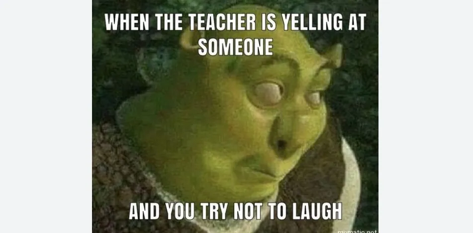 Hey Pandas, Share The Funniest Or Your Favourite Meme With Us