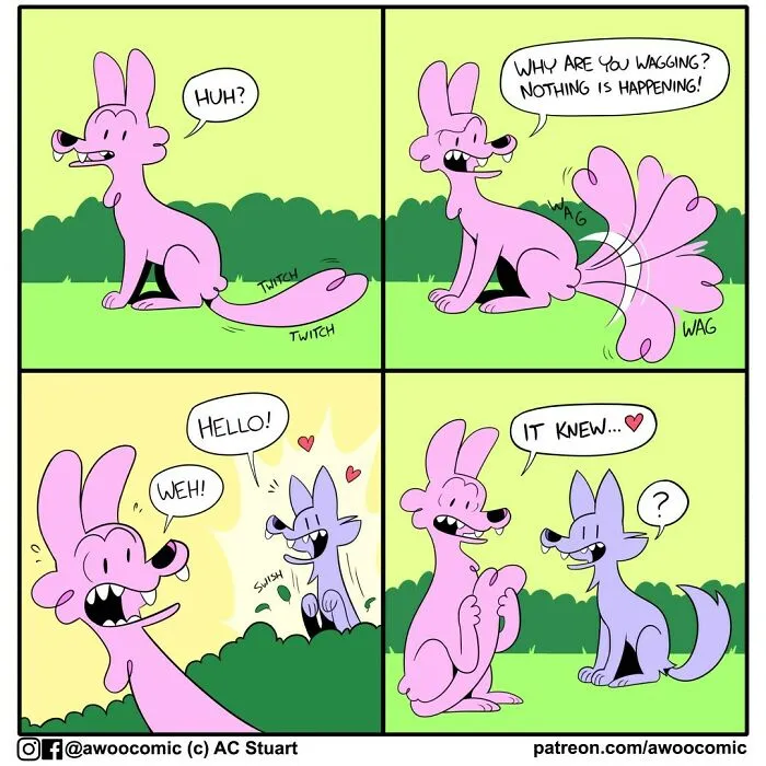 Awoo!: 30 Sweet And Silly Comics About Wolves Of The Woodland, By This Artist