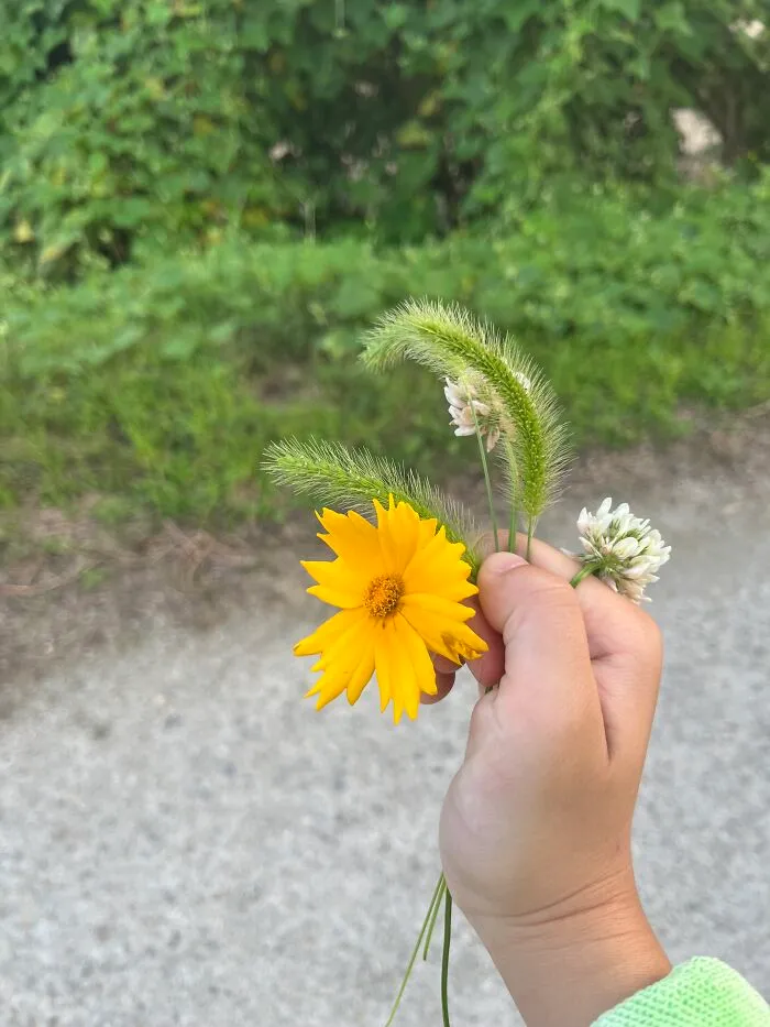 Bunch Of Korean Flowers