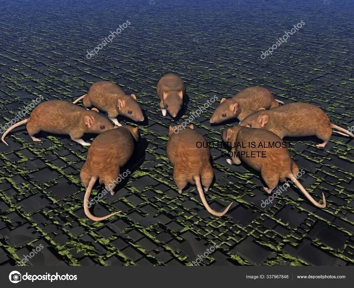 Rat Summoning Ritual
