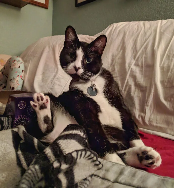 Frankie Has A Sassy Question