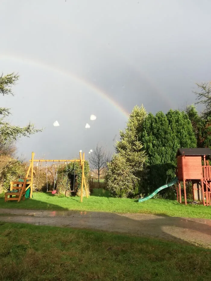 My Garden From The Window, Ireland