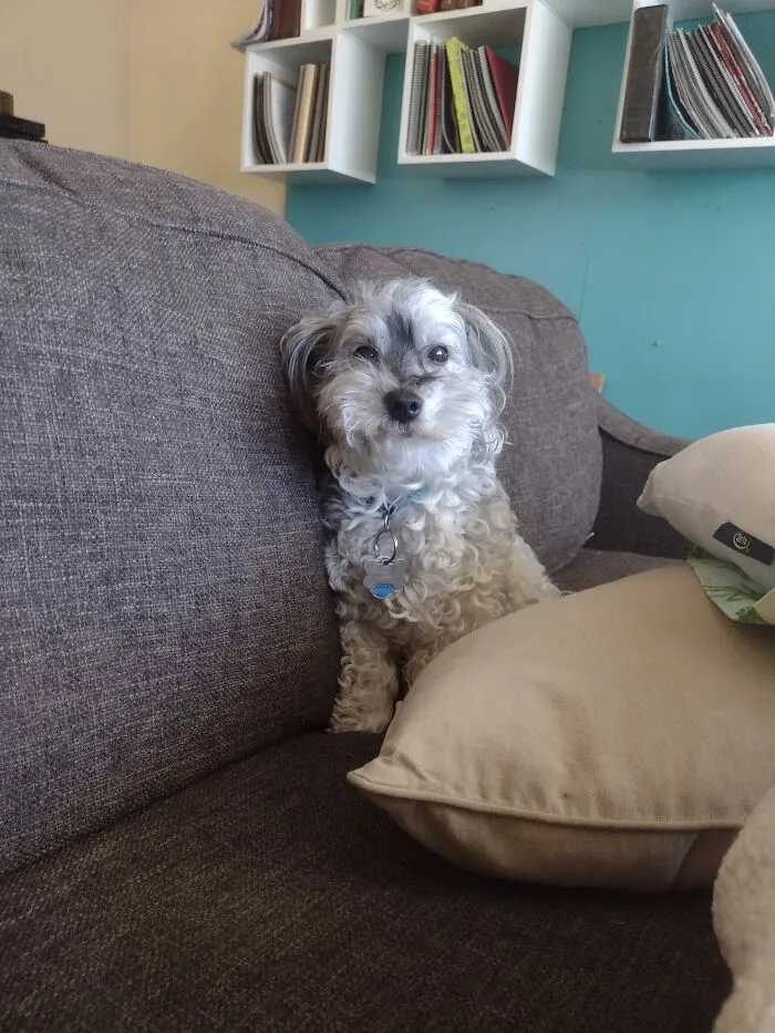 He Just Woke Up
