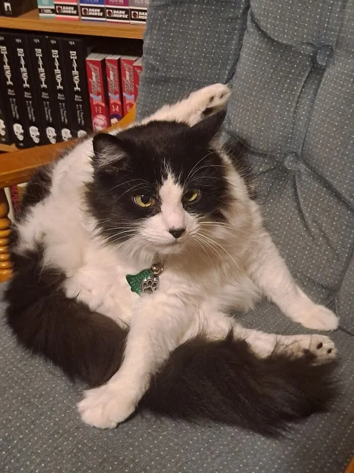 So Graceful