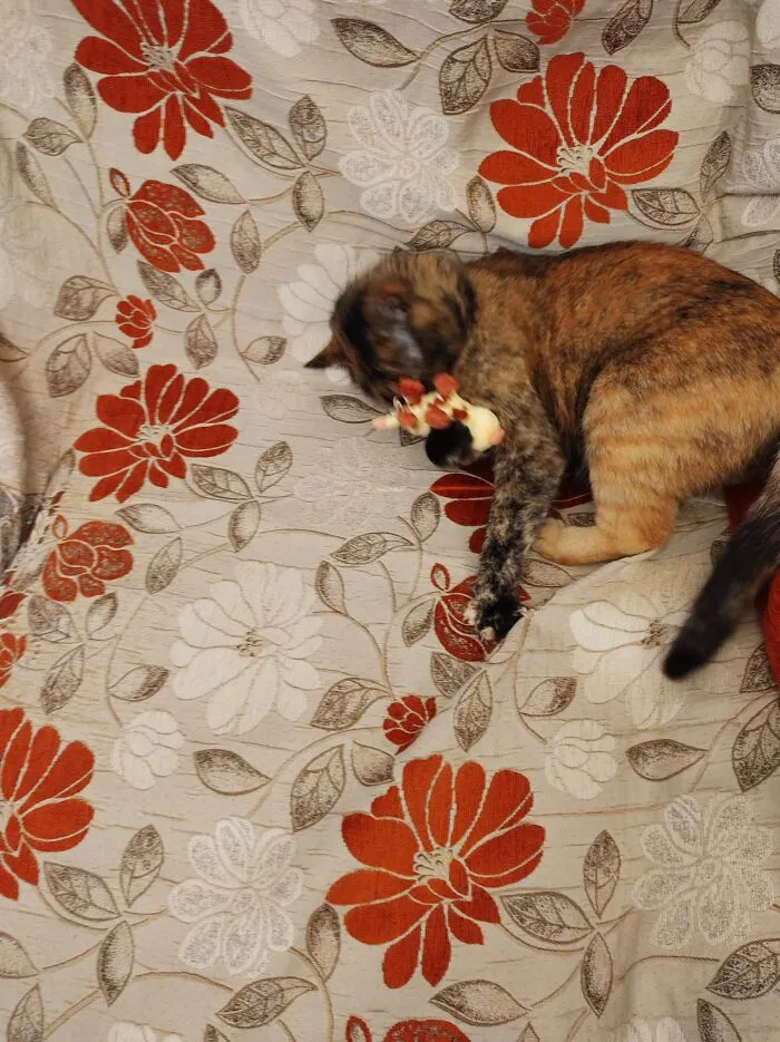 Mundi Loves Playing With Toys