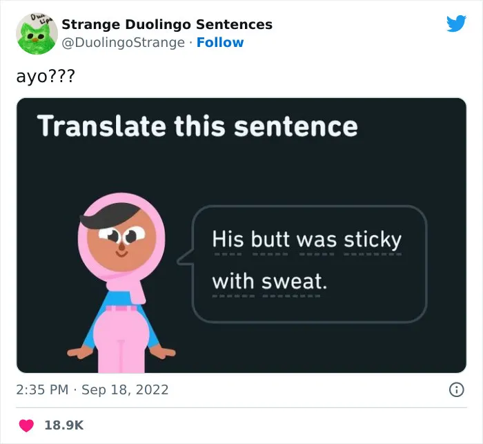 21 Strangest Duolingo Sentences That I Found On This Twitter Page