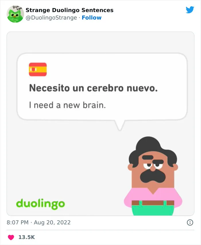 21 Strangest Duolingo Sentences That I Found On This Twitter Page