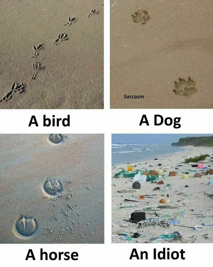 30 Assorted Memes And Comics