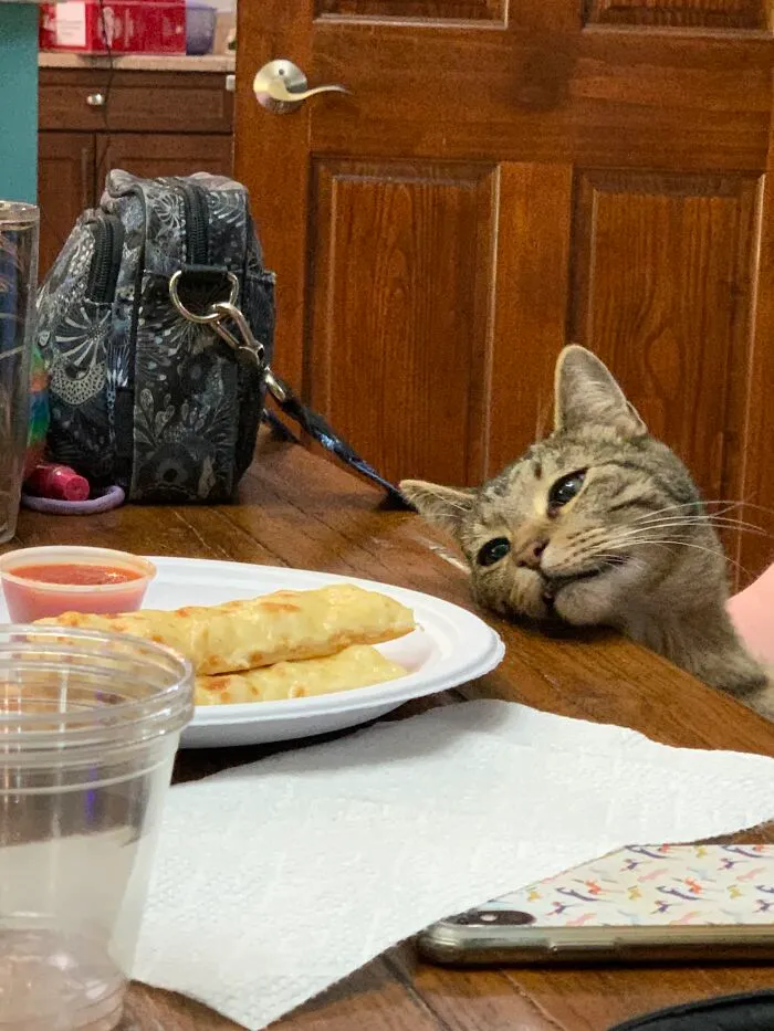He Wanted The Cheese Sticks