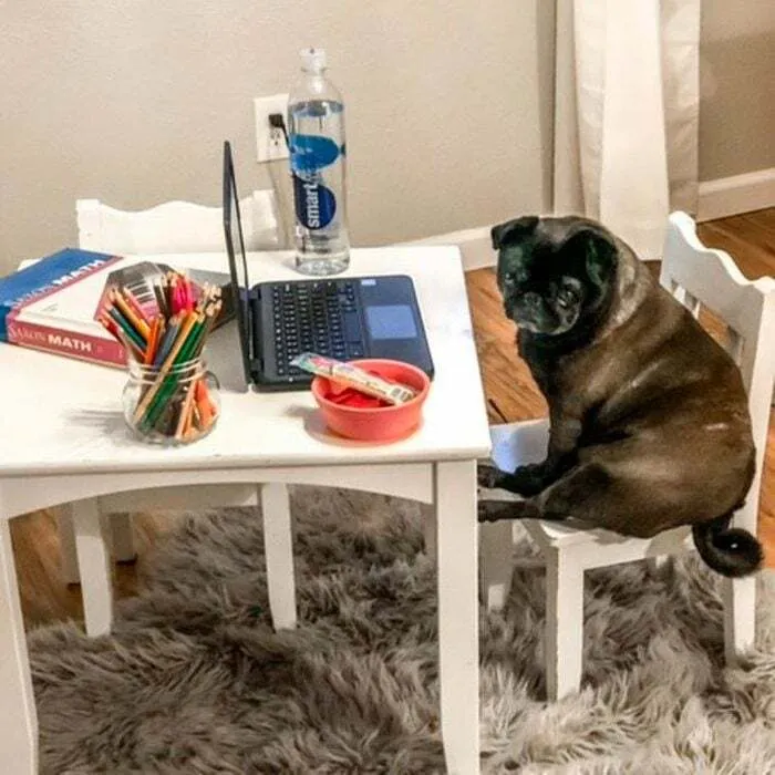 Leave Me Alone Mom, I’m Working