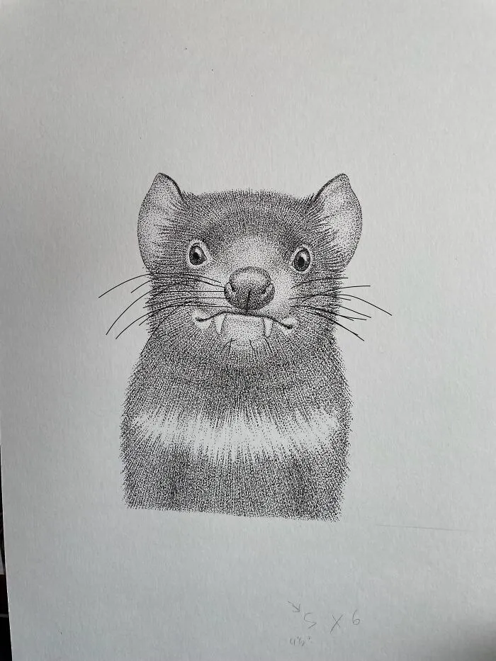 Tasmanian Devil