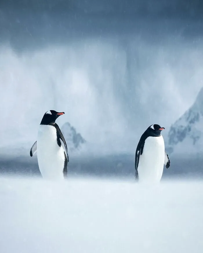 Photographer Shows Incredible Landscapes Seen During His Travels Around The Globe (30 Pics)