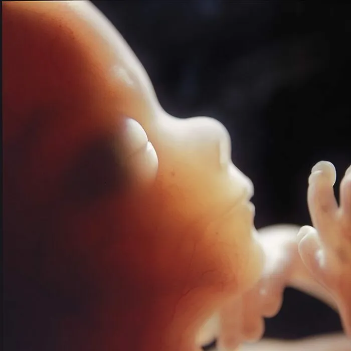19 Groundbreaking Images By This Photographer Offering A Glimpse Into The Miracle Of Birth