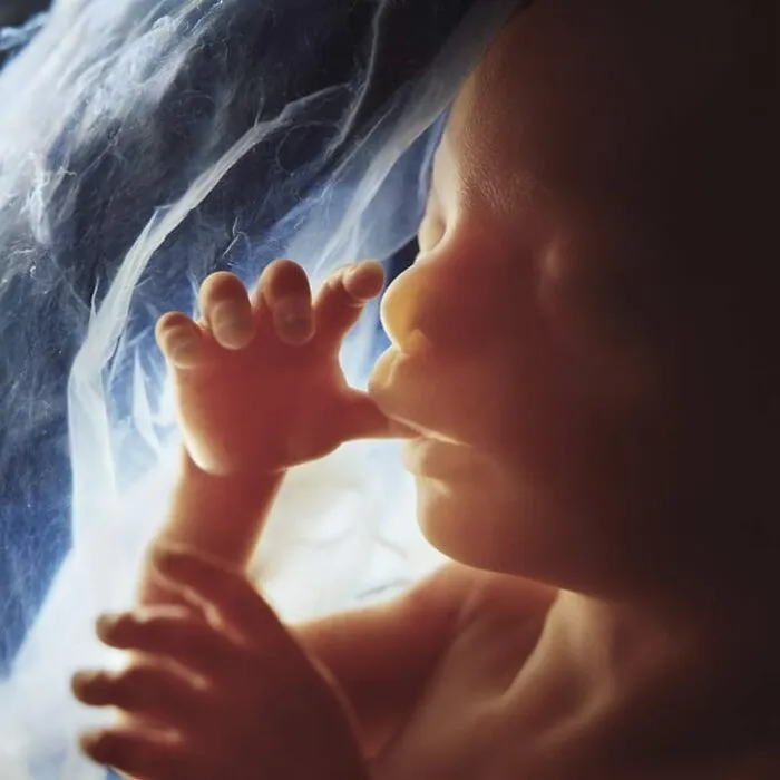 19 Groundbreaking Images By This Photographer Offering A Glimpse Into The Miracle Of Birth