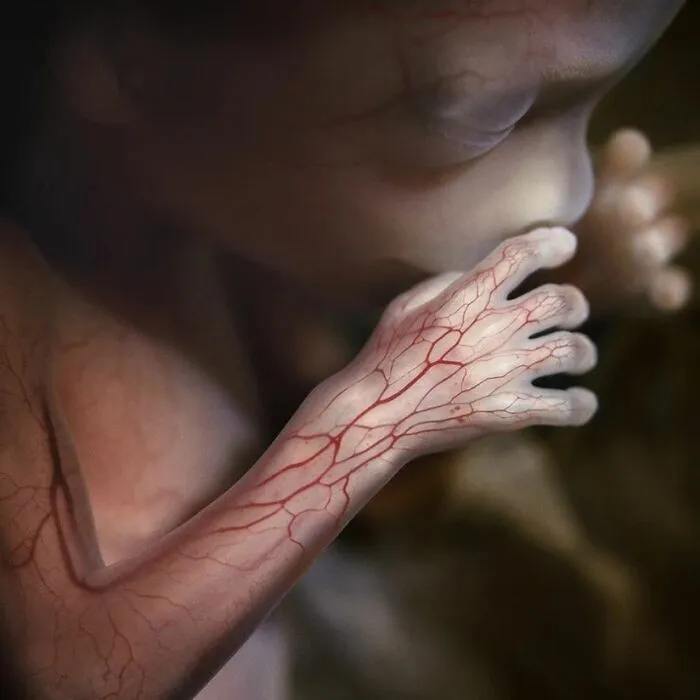 19 Groundbreaking Images By This Photographer Offering A Glimpse Into The Miracle Of Birth