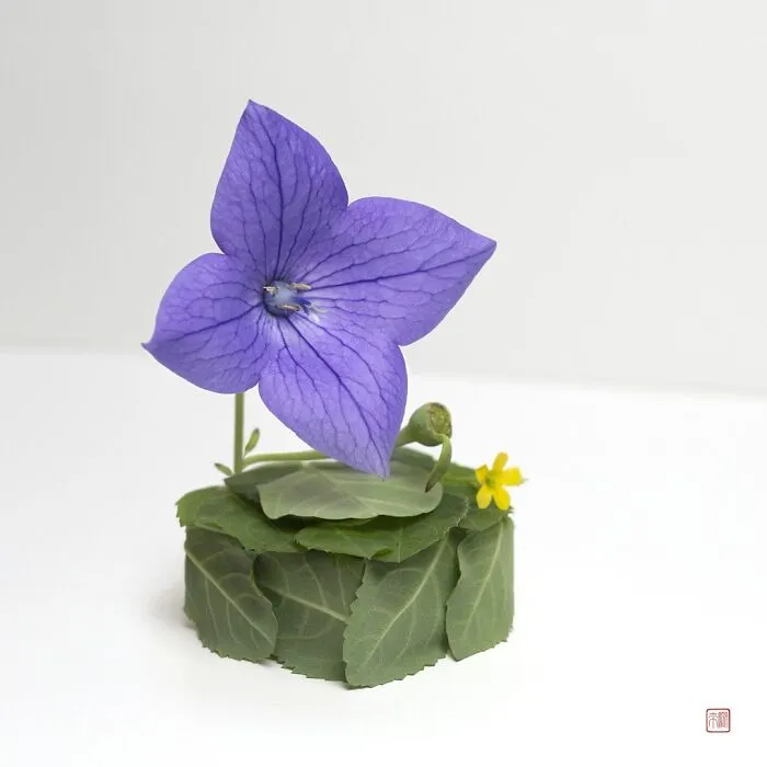 Artist Creates Animal Sculptures From Flower Arrangements (55 New Pics)