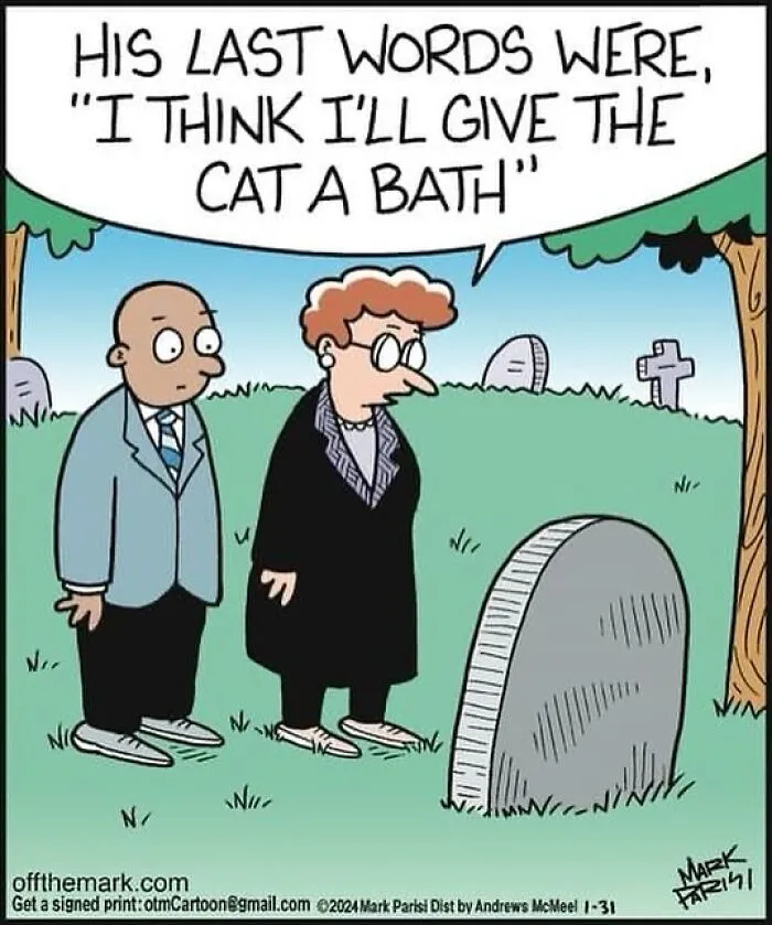 Funny "Off The Mark" Comics That Might Make Your Day (30 New Pics)