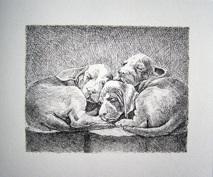 Puppies Sleeping