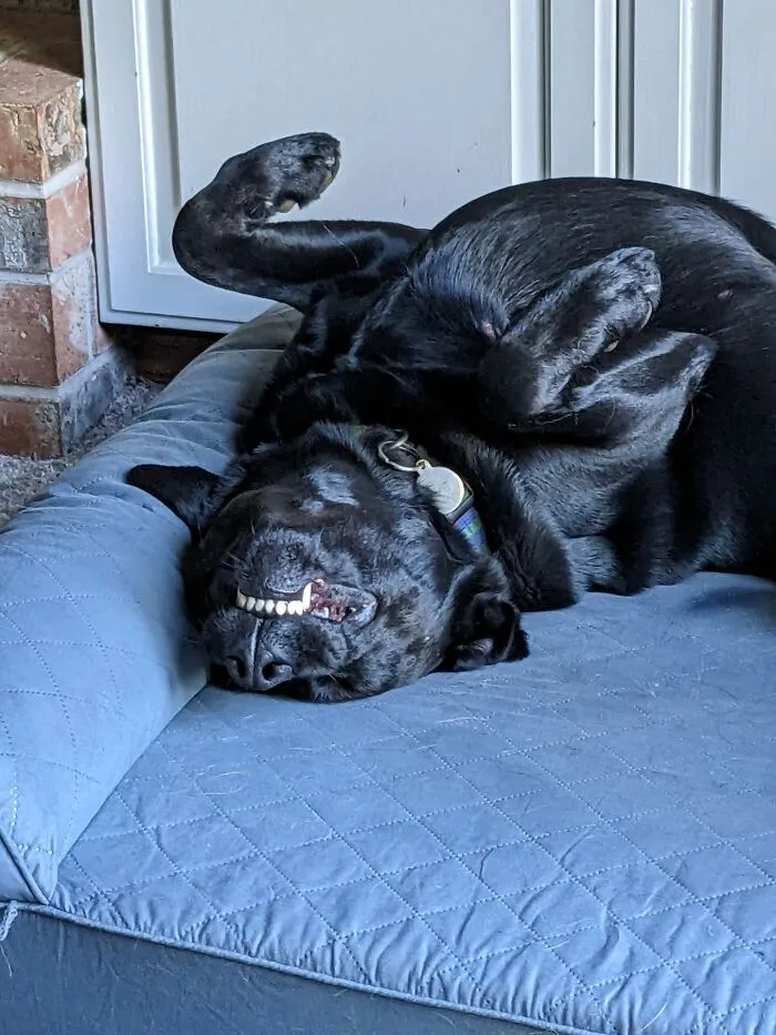 She Is Actually Sleeping And Snoring