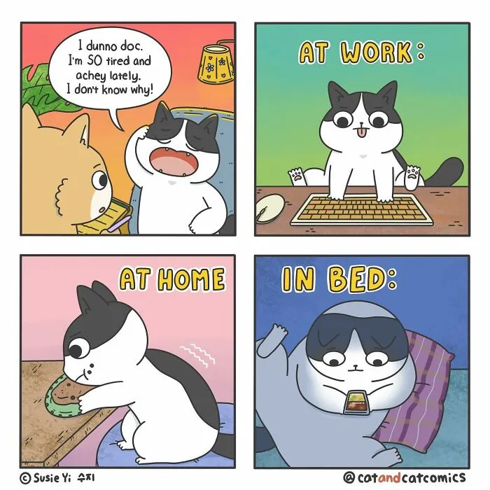 "Cat & Cat": 25 Funny And Wholesome Comics About The Secret Life Of Feline Friends (New Pics)