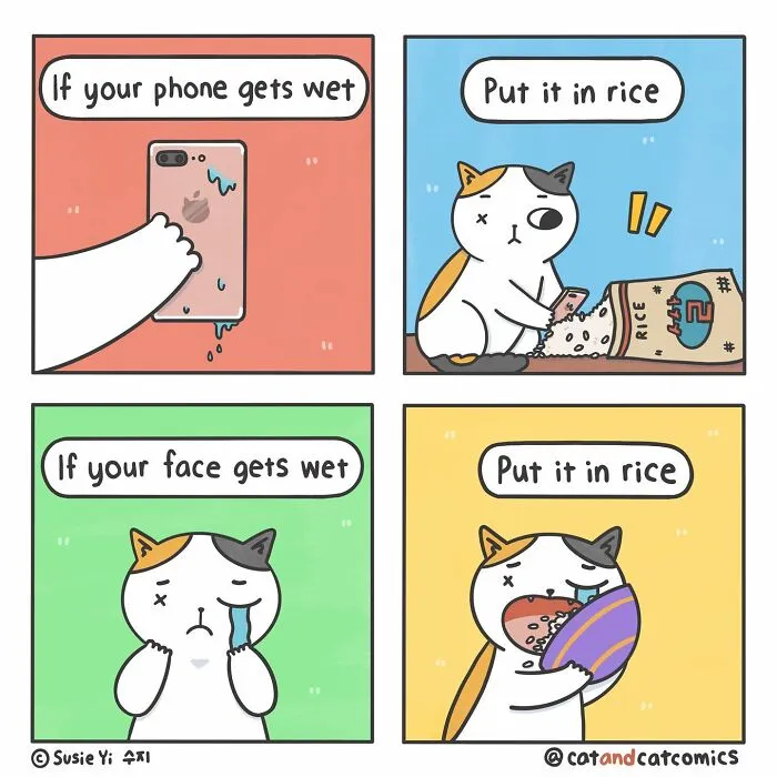 "Cat & Cat": 25 Funny And Wholesome Comics About The Secret Life Of Feline Friends (New Pics)